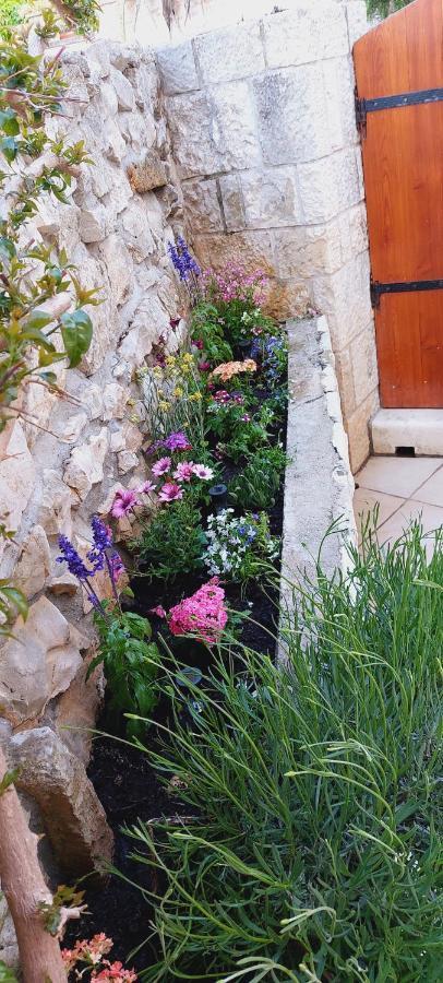 Apartments Viva Korcula Town Exterior photo
